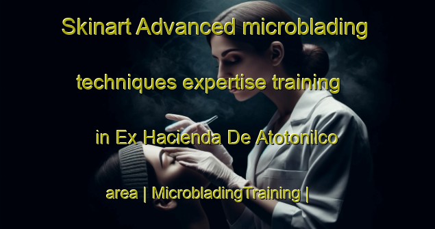 Skinart Advanced microblading techniques expertise training in Ex Hacienda De Atotonilco area | MicrobladingTraining | MicrobladingClasses | SkinartTraining-Mexico